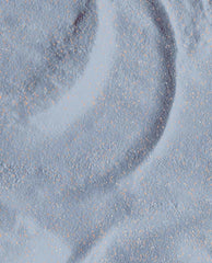 Dipping Powder Leonardo's Model Color