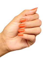 Gel Nail Polish Your Zestination Awaits